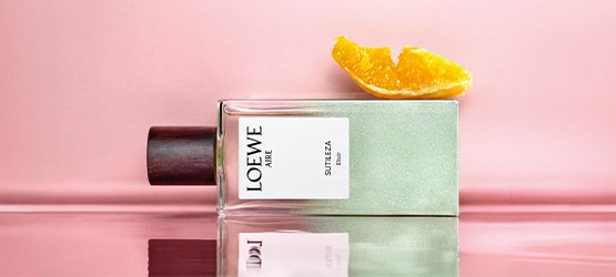 Spotlight-Banner-555x250 - fr.jpg Spotlight-Banner-555x250 - fr.jpg